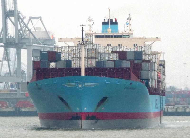 LICA-MAERSK