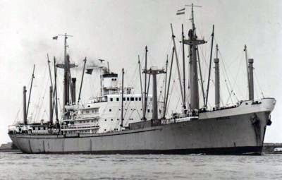 Stella C1