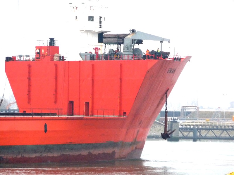 DOCKWISE SWAN DOCKWISE SWAN