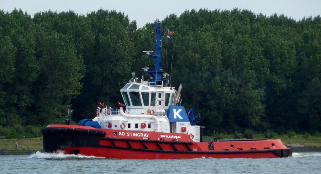 SD-STINGRAY - KOTUG