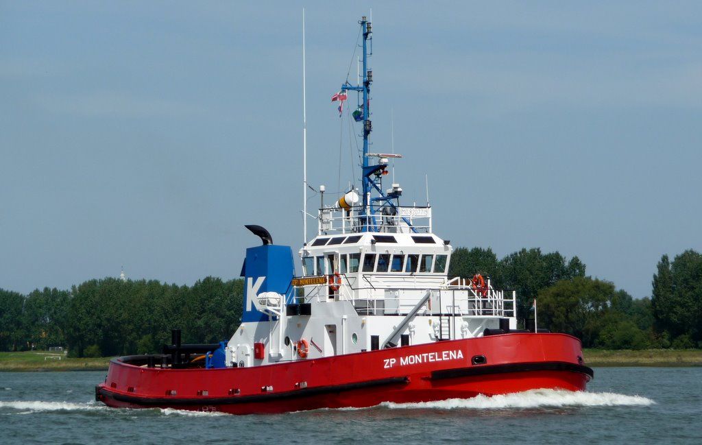 ZP-MONTELENA-KOTUG