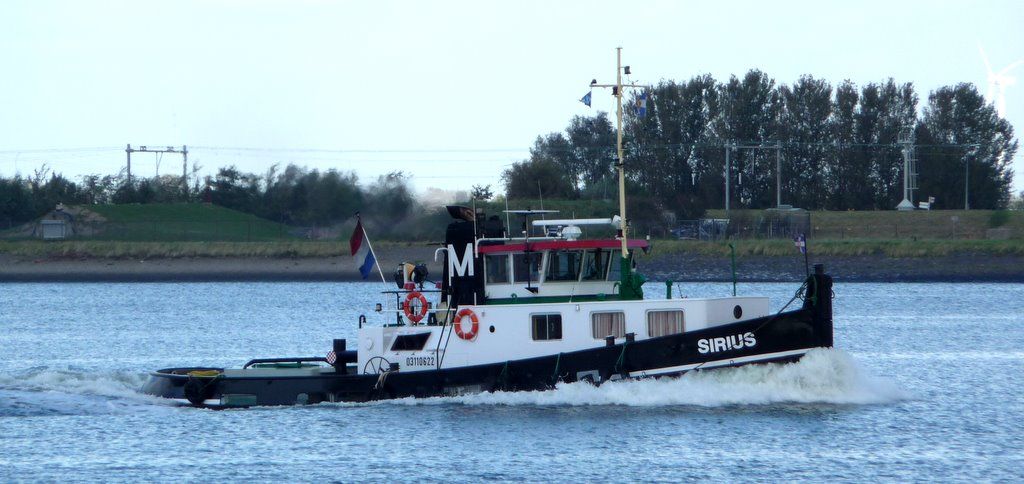 SIRIUS T.Muller - Dordrecht