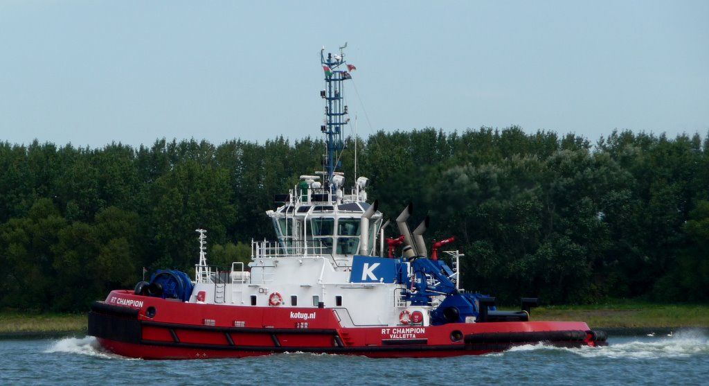 RT-CHAMPION KOTUG