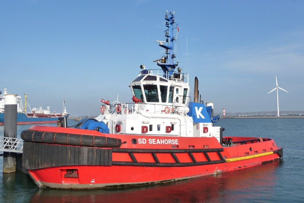 sd-seahorse-KOTUG