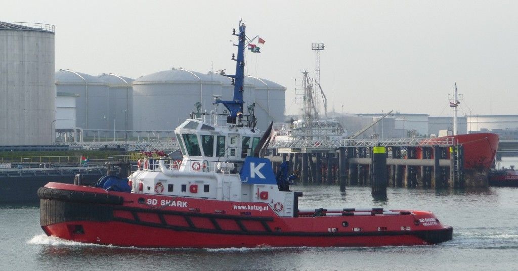 sd-shark-KOTUG