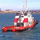 bote303