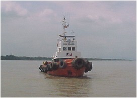 image10 image10