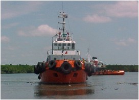 image11 image11
