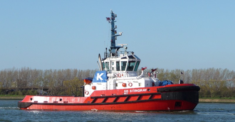 SD-STINGRAY-KOTUG