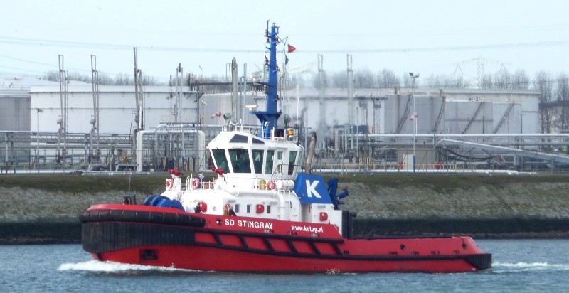 SD-STINGRAY-KOTUG