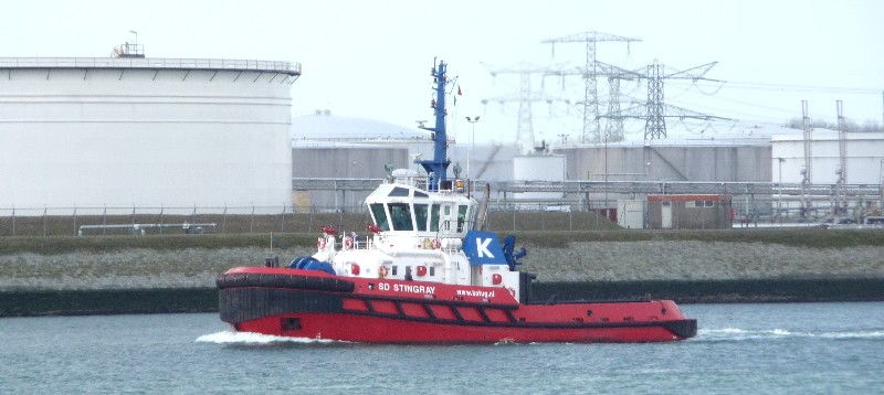 SD-STINGRAY-KOTUG