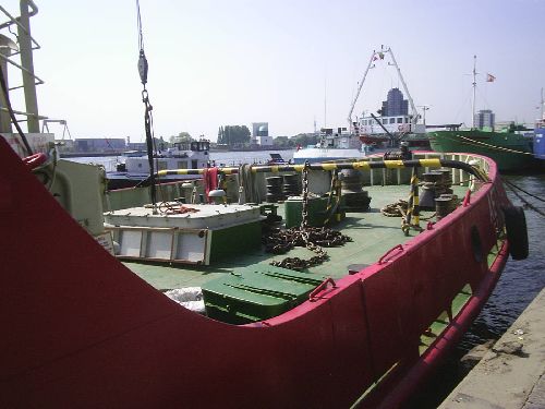 aetos in rotterdam /parkhaven