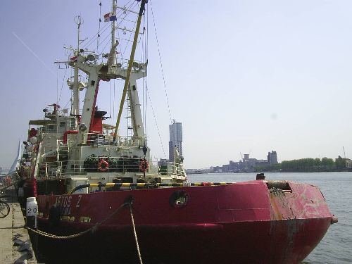 aetos in rotterdam /parkhaven