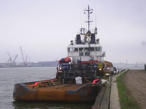 alphonse letzer in rotterdam 