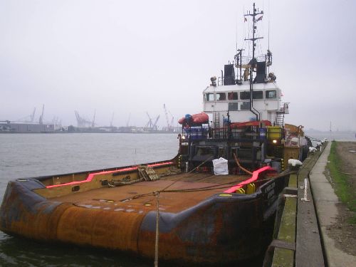 alphonse letzer in rotterdam 