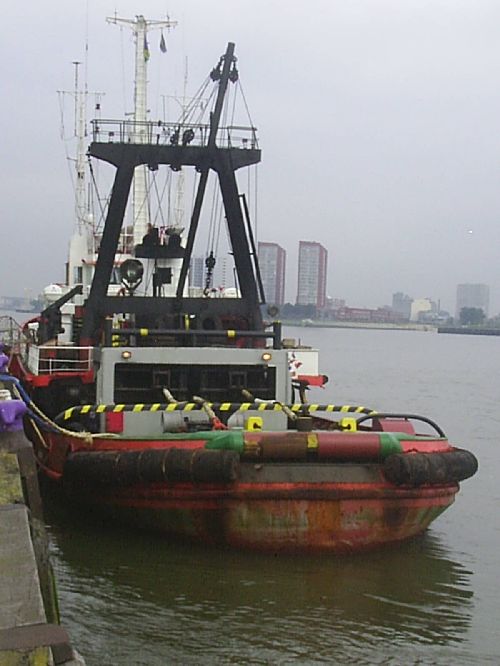 hellas aan de lloydskade in rotterdam