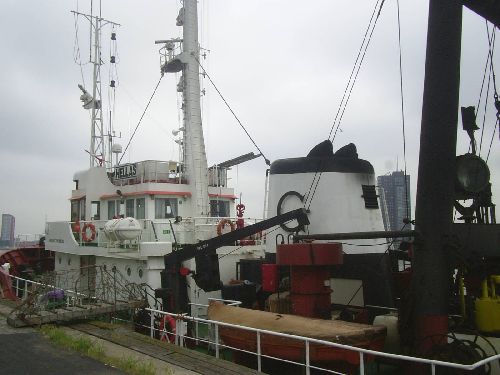 hellas aan de lloydskade in rotterdam