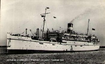 tasmanzee5 tasmanzee5