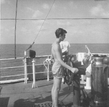 tasmanzee6 tasmanzee6