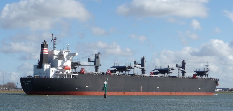 bulk carrier SILVER PEGASUSkomt in de europort binnen